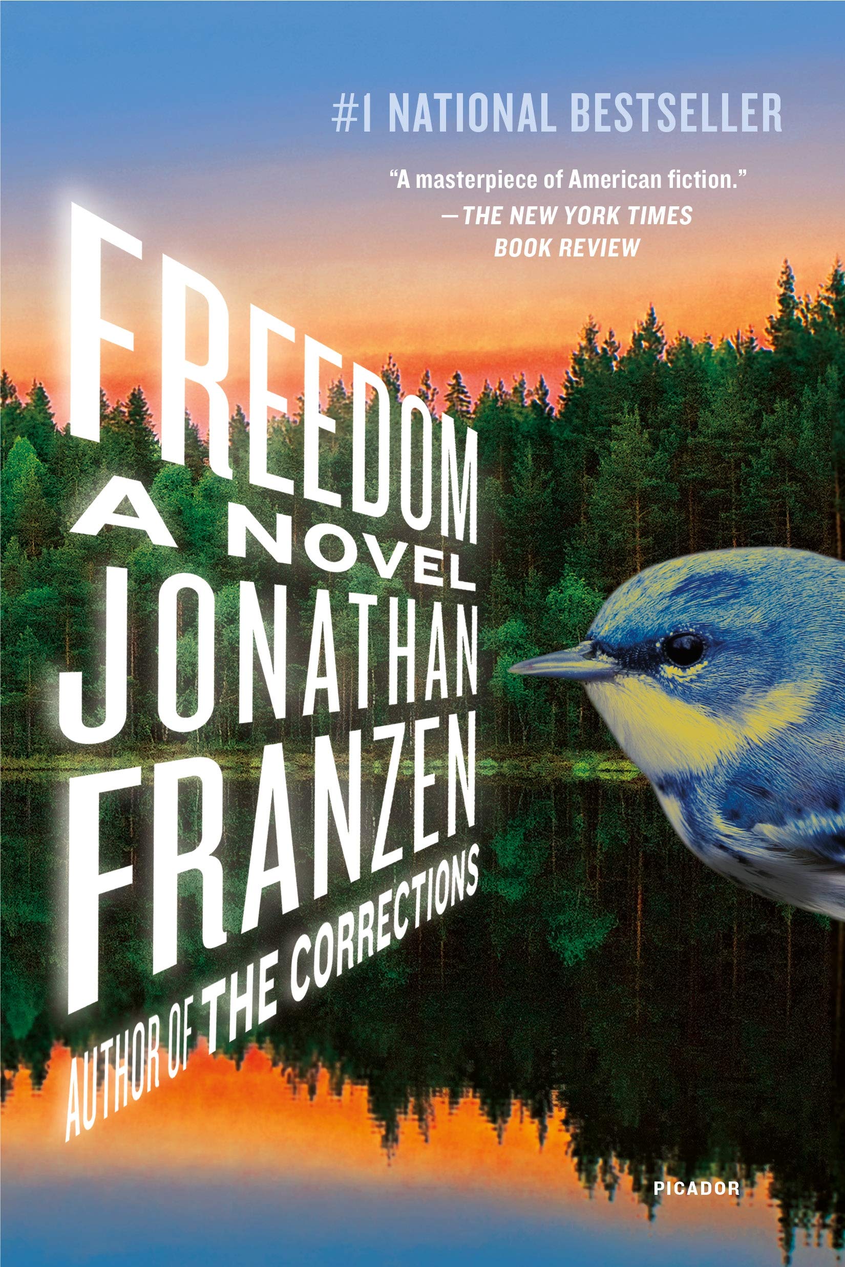 Freedom: A Novel | Amazon.com.br